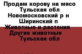 Продам корову на мясо - Тульская обл., Новомосковский р-н, Ширинский п. Животные и растения » Другие животные   . Тульская обл.